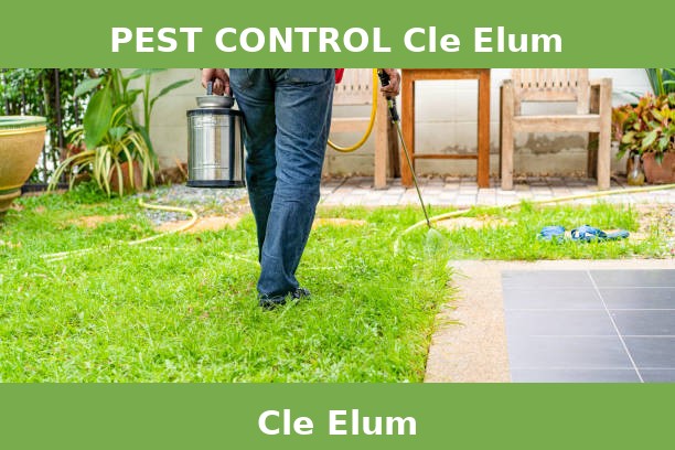 PEST CONTROL Cle Elum